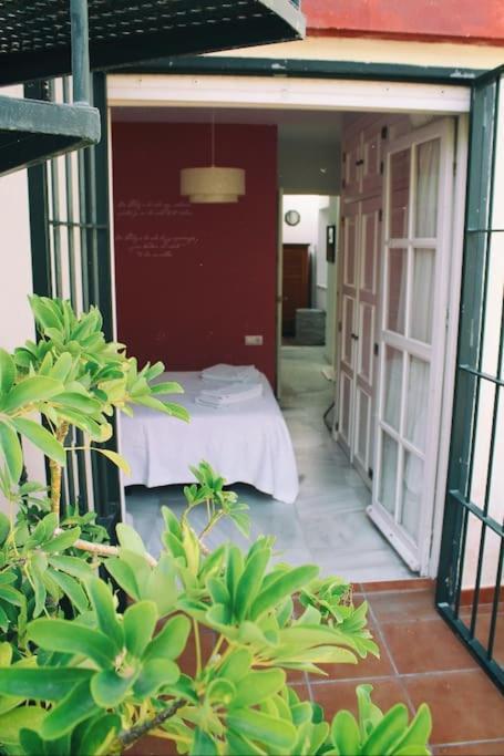 דירות Penthouse With Large Terrace In Center Of קדיז מראה חיצוני תמונה